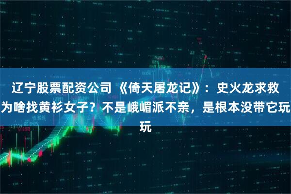 辽宁股票配资公司 《倚天屠龙记》：史火龙求救为啥找黄衫女子？不是峨嵋派不亲，是根本没带它玩